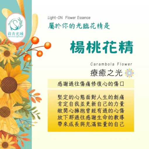 楊桃花精
