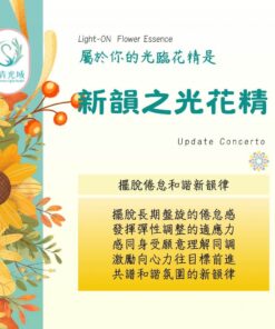 新韻之光花精 Update Concerto