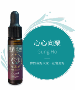 心心向榮 Gung Ho