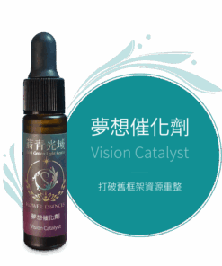 夢想催化劑 Vision Catalyst