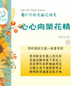 心心向榮 Gung Ho