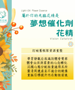 夢想催化劑 Vision Catalyst