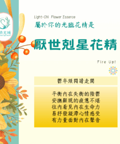 厭世剋星 Fire Up!